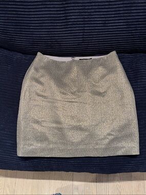 Ann Taylor Shimmery Silver-Tone Mini Skirt
